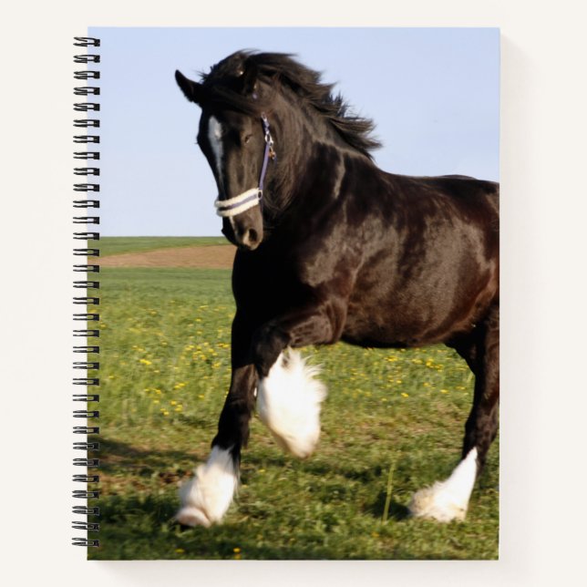 Clydesdale Horse Notizbuch (Vorderseite)