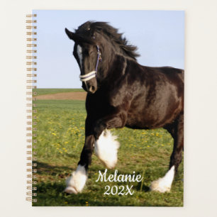 Clydesdale Horse Planer