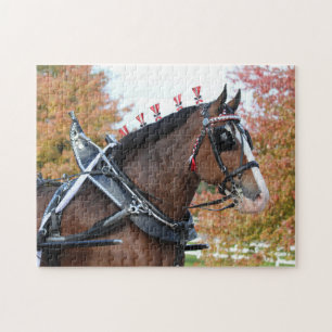 Clydesdale horse puzzle