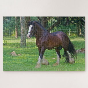 Clydesdale Horse Puzzle