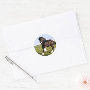 Clydesdale Horse Runder Aufkleber