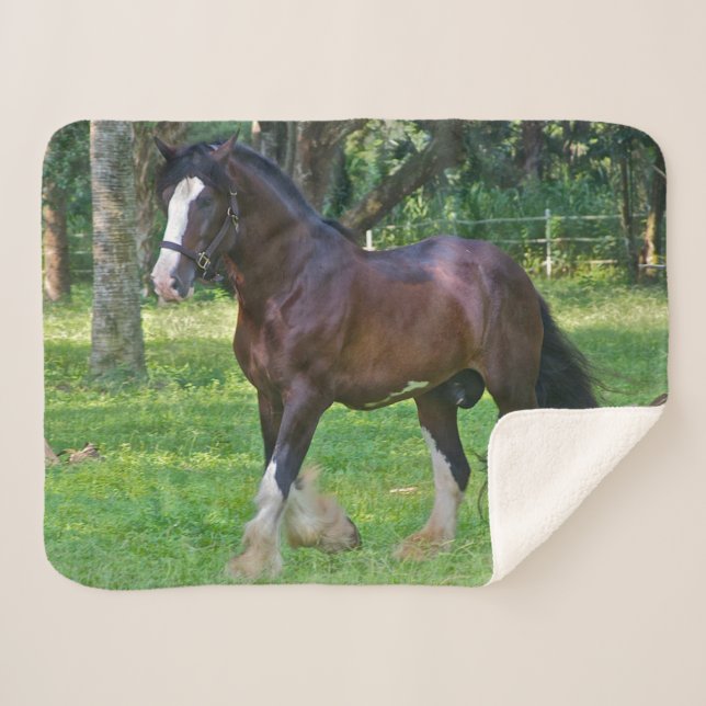 Clydesdale Horse Sherpadecke (Vorderseite (Horizontal))