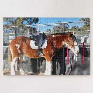 Clydesdale Pferd entspannen in der Nähe der Pferde Puzzle
