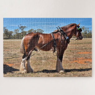 Clydesdale-Pferd mit Geschirr, Australien Puzzle