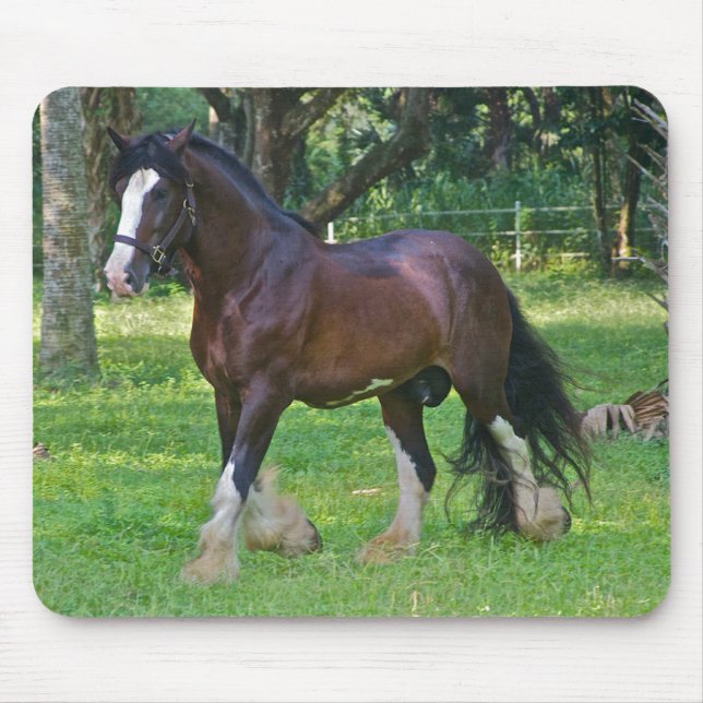 Clydesdale-Pferd Mousepad (Vorne)