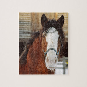 Clydesdale Pferd Puzzle