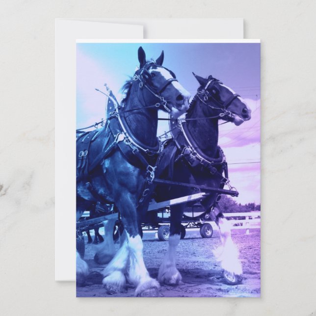 Clydesdale Pferdeeinladung Einladung (Vorderseite)