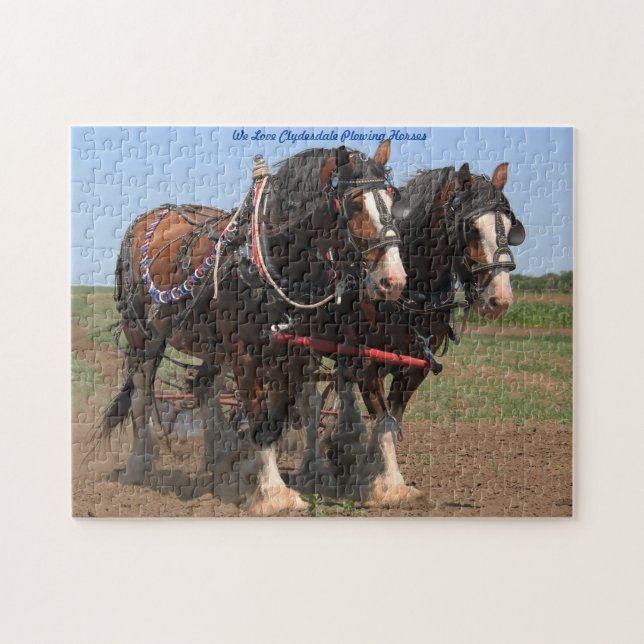 Clydesdale Pflüge Pferde. Jigsaw Puzzle (Horizontal)