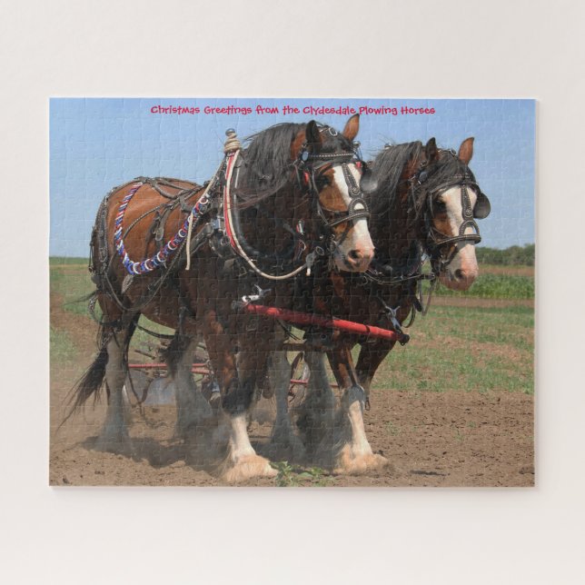 Clydesdale Pflüge Pferde. Jigsaw Puzzle (Horizontal)