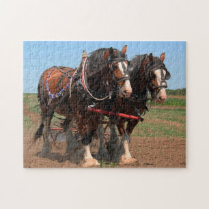 Clydesdale Pflüge Pferde. Puzzle