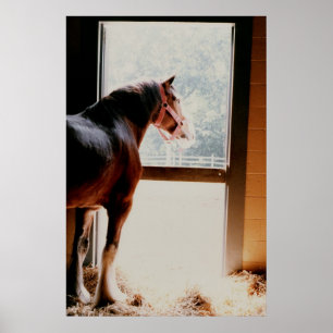 Clydesdale Poster