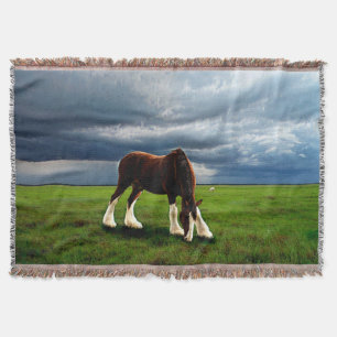 Clydesdale Storm Decke