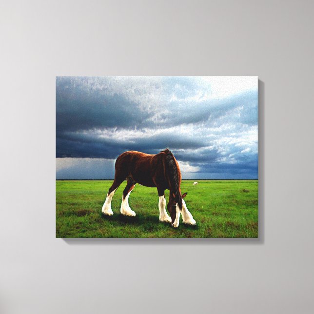 Clydesdale Storm Leinwanddruck (Vorderseite)
