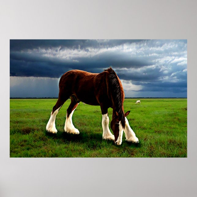 Clydesdale Storm Poster (Vorne)