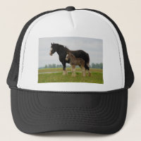 clydesdale Stute und Stutenfohlen