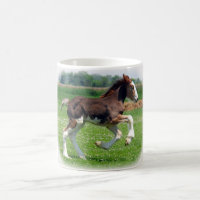 Clydesdale Stutenfohlen
