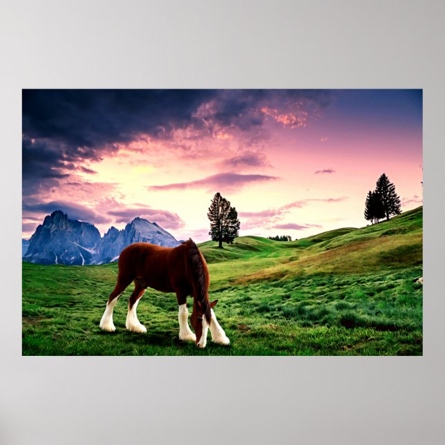 Clydesdale Sunset Poster (Vorne)