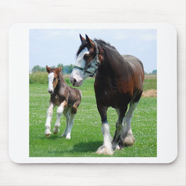 Clydesdale und Stutenfohlen Mousepad (Vorne)