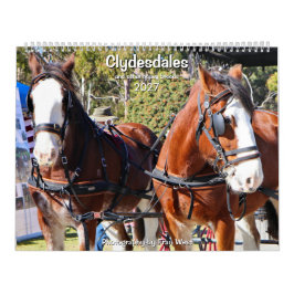 Clydesdales & andere schwere Pferderassen 2027 Kalender