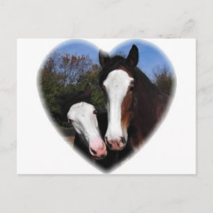 Clydesdales im Herzen Postkarte