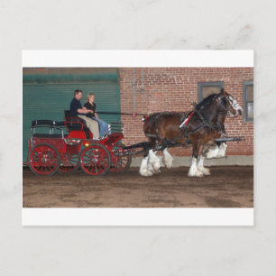 Clydesdales-Karren Postkarte