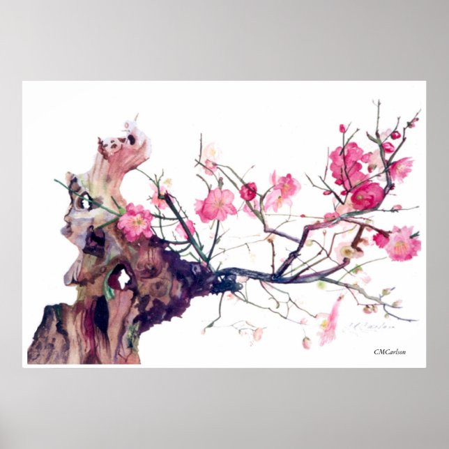 CMCarlson Cherry Blossom Poster (Vorne)