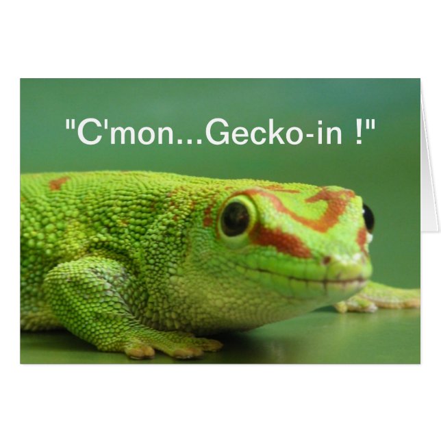 "Cmon...Gecko-in !" (Vorderseite (Horizontal))