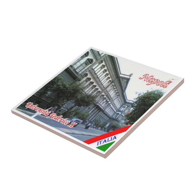 CMP048 NAPLES, Federico II University, Fliese (Seite)