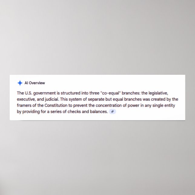 Co-Equal Branches of Government Poster (Vorne)