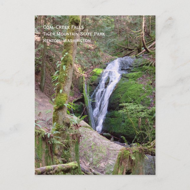 Coal Creek Falls Postcard Postkarte (Vorderseite)