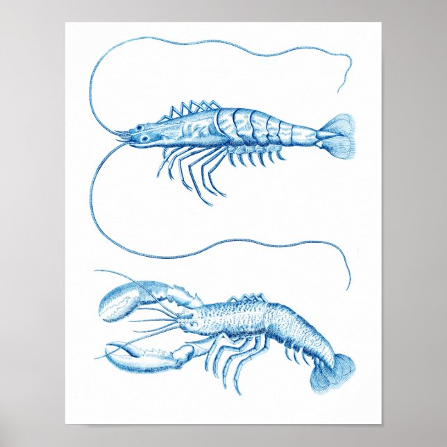 Coastal Art Blue Crustaceans Nr.6 Schöne Dekoratio Poster (Vorne)