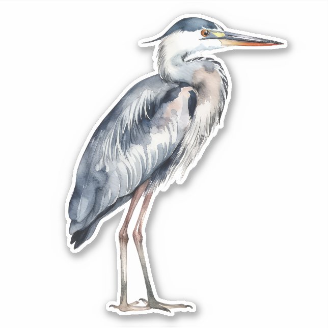 Coastal Blue Heron Bird Aufkleber (Vorderseite)