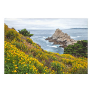 Coastal Gelbe Wildblumen Landschaft Fotodruck