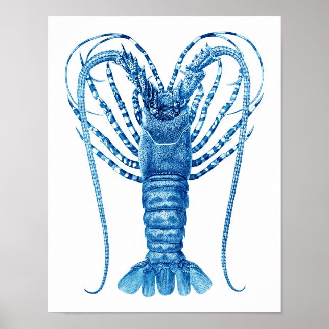Coastal Kitchen Art Deco Blue Lobster Print no.8 Poster (Vorne)