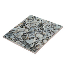 Coastal Shells Shore Tile Fliese