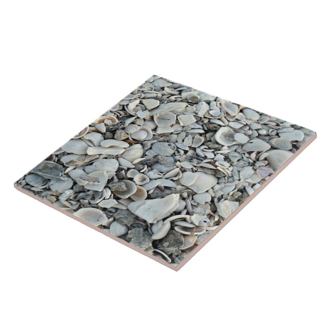 Coastal Shells Shore Tile Fliese (Seite)
