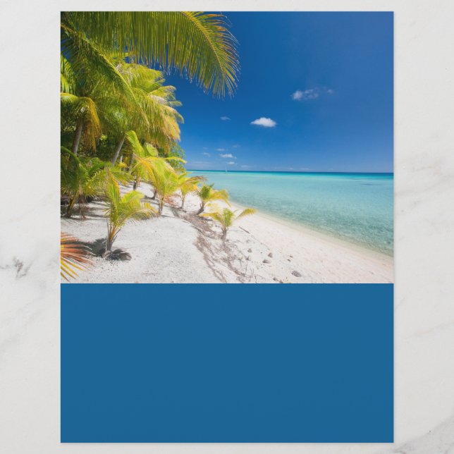 Coastline Flyer (Vorne)