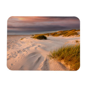 Coastline   Saltum Beach, Denmark Magnet