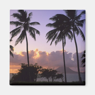 Coastline St. Kitts Magnet