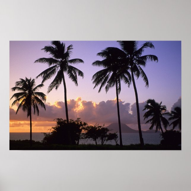 Coastline St. Kitts Poster (Vorne)