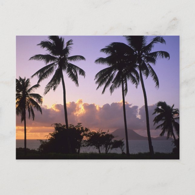 Coastline St. Kitts Postkarte (Vorderseite)