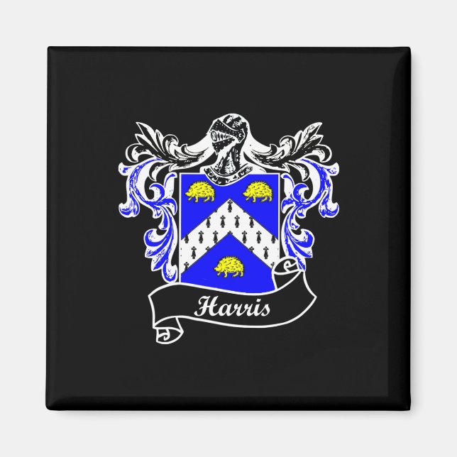 Coat of Arms Nachname Nachname Familienwappen Magnet (Vorne)