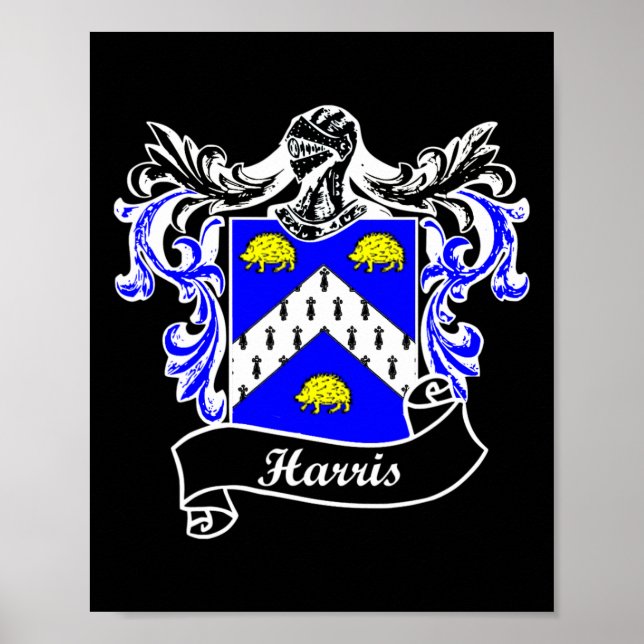 Coat of Arms Nachname Nachname Familienwappen Poster (Vorne)