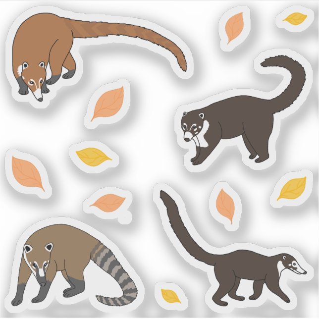 Coatis Aufkleber (Vorderseite)