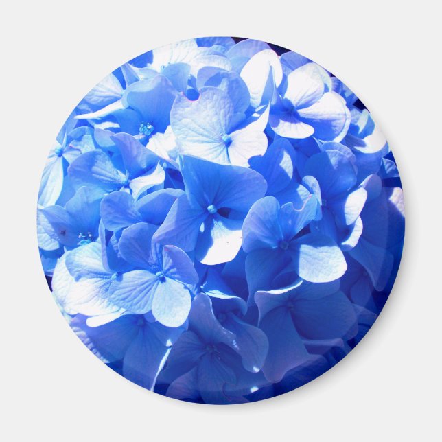 Cobalt Blue Hydrangea Magnet (Vorne)