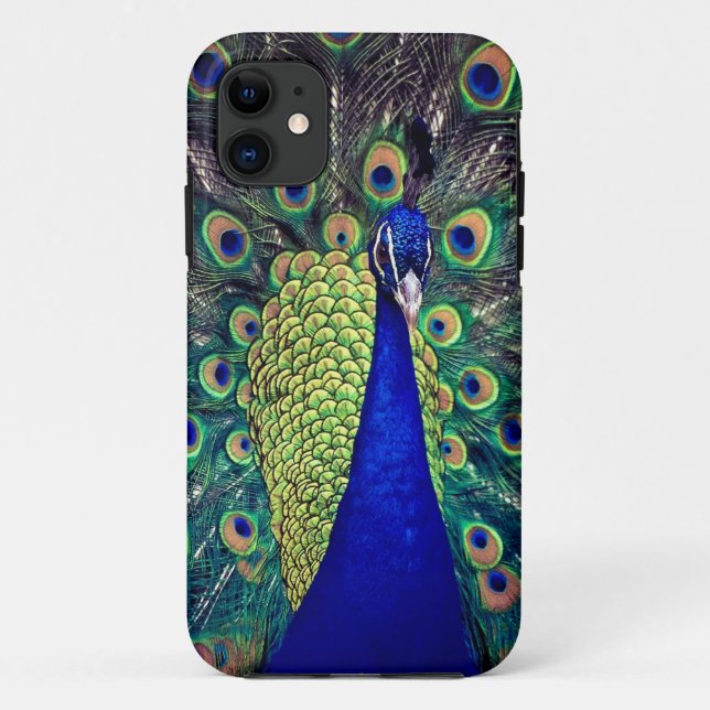 Cobalt Blue Peacock Case-Mate iPhone Hülle (Rückseite)