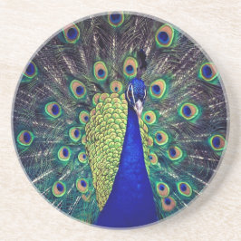 Cobalt Blue Peacock Getränkeuntersetzer