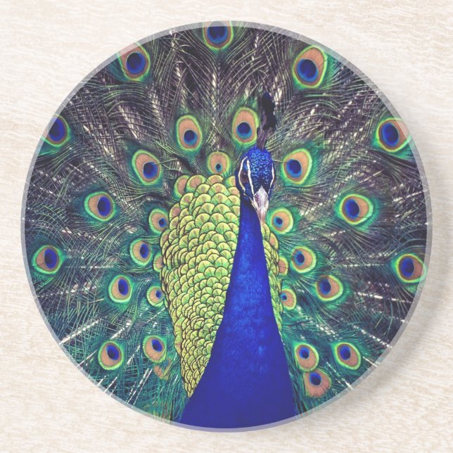 Cobalt Blue Peacock Getränkeuntersetzer (Vorne)