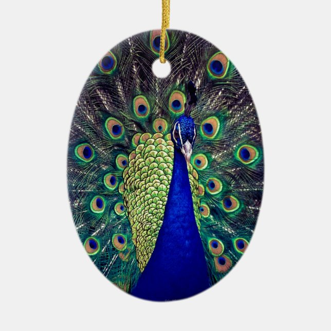 Cobalt Blue Peacock Keramikornament (Vorne)
