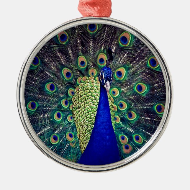 Cobalt Blue Peacock Ornament Aus Metall (Vorne)
